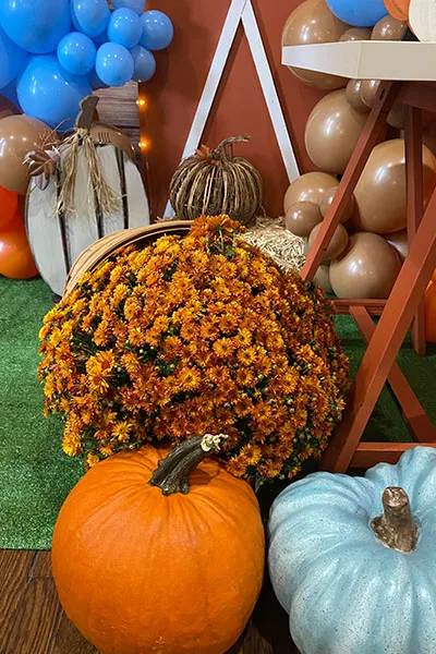 Slate Hill NY Party Rental 3 Slate Hill NY Party Rental